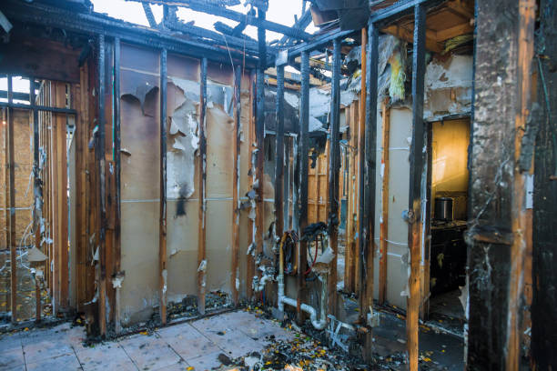 Professional Fire Damage Assessment technician working in Ravensdale, WA