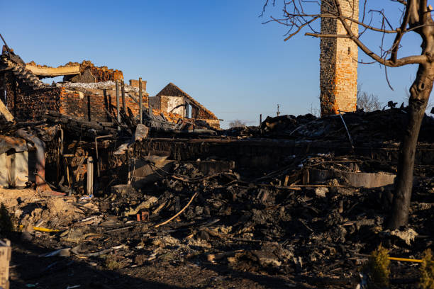 Reliable Fire Damage Assessment contractor in Ravensdale, WA by Fire Damage Doption